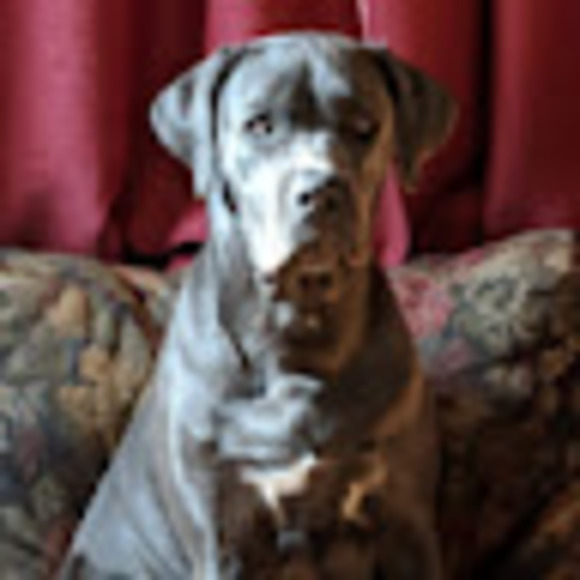 Meet your Posher, Robert - Picture 1 of 1